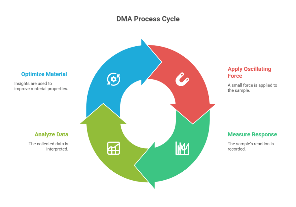 1256-1024x715 DYNAMIC MECHANICAL ANALYSIS (DMA)